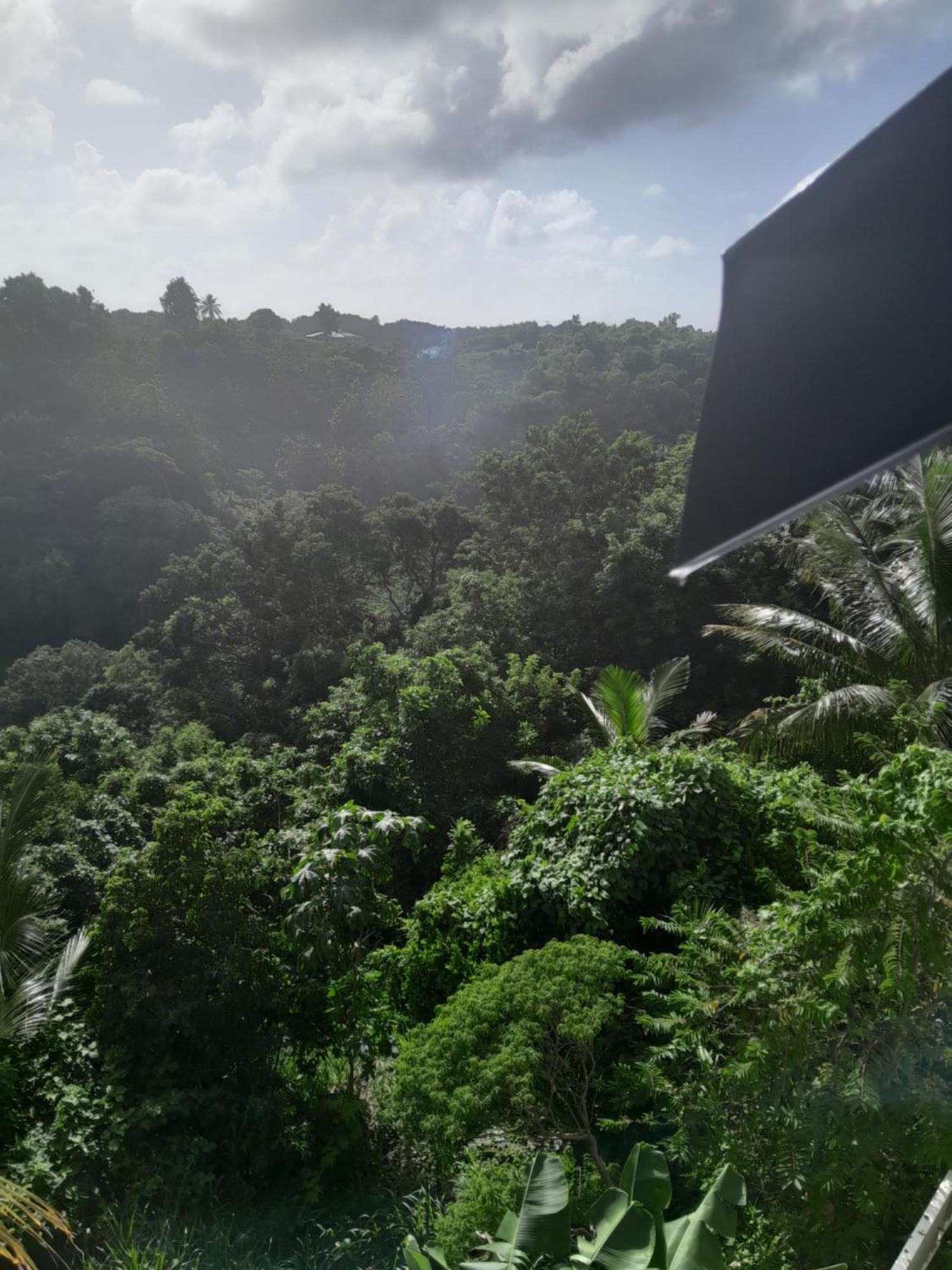 Les Manguiers Apartment แซนต์-อาน ภายนอก รูปภาพ